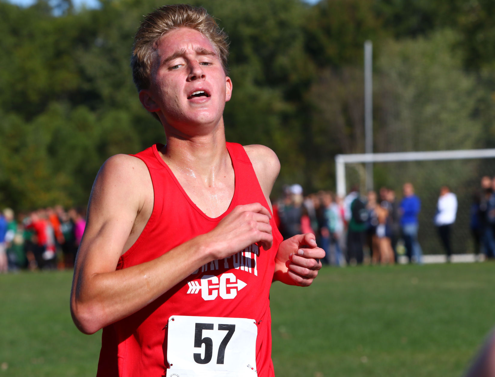 Gallery: Duneland Athletic Conference cross country meet